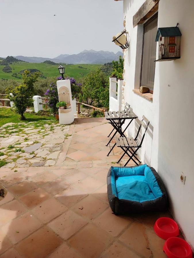 Villa Huerta Nacimiento Montecorto Εξωτερικό φωτογραφία